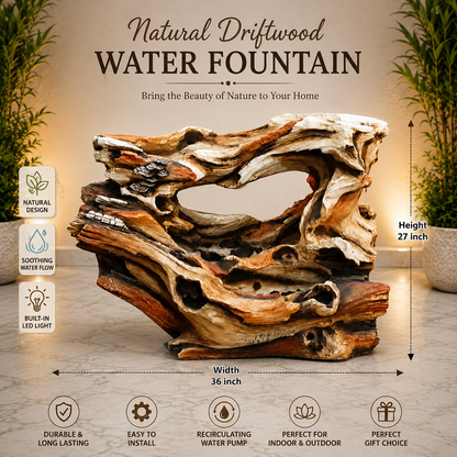 Organic Driftwood Sculpture